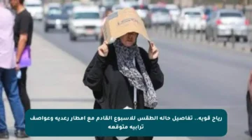 رياح قوية.. تفاصيل حالة الطقس للأسبوع القادم مع أمطار رعدية وعواصف ترابية متوقعة